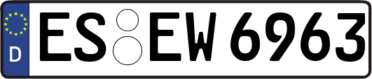 ES-EW6963