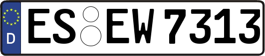 ES-EW7313