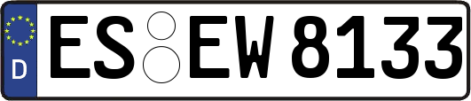 ES-EW8133