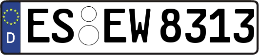 ES-EW8313