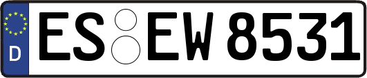ES-EW8531