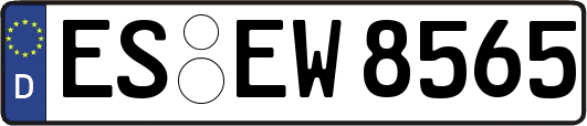 ES-EW8565