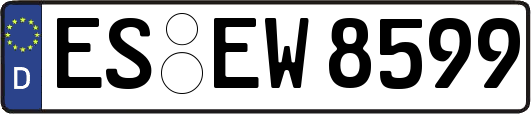 ES-EW8599