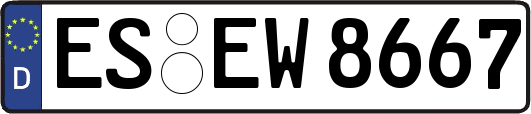 ES-EW8667