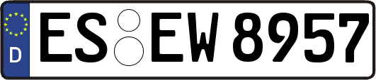 ES-EW8957