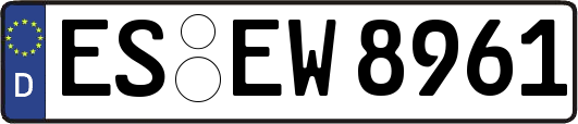 ES-EW8961
