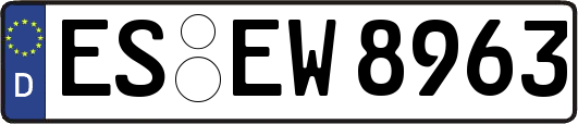 ES-EW8963