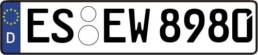 ES-EW8980
