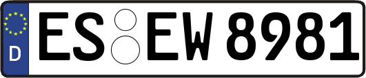 ES-EW8981
