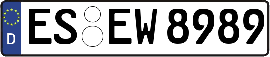 ES-EW8989