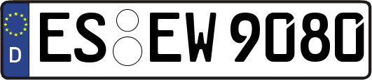 ES-EW9080
