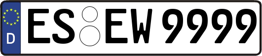 ES-EW9999