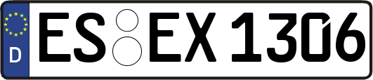 ES-EX1306