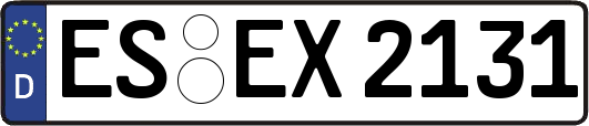 ES-EX2131
