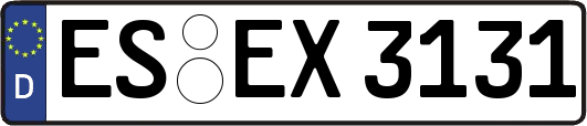 ES-EX3131