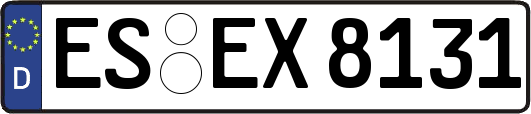 ES-EX8131