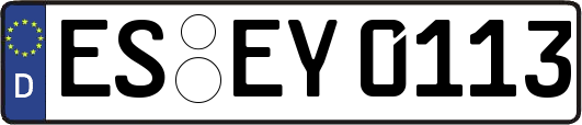 ES-EY0113