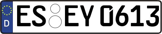 ES-EY0613