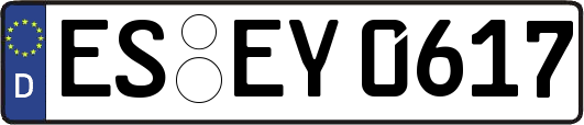 ES-EY0617