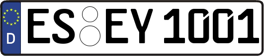 ES-EY1001