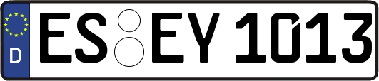 ES-EY1013