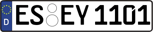 ES-EY1101