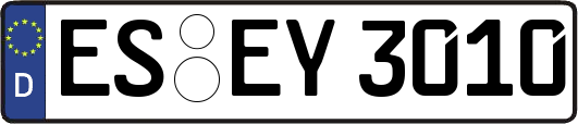 ES-EY3010