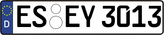 ES-EY3013
