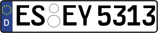 ES-EY5313