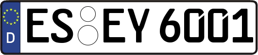 ES-EY6001