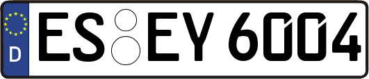 ES-EY6004