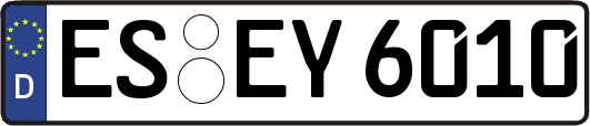 ES-EY6010