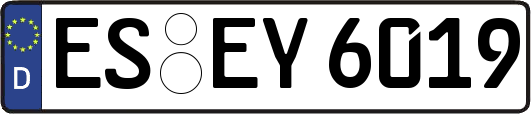 ES-EY6019
