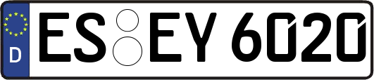 ES-EY6020