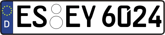 ES-EY6024