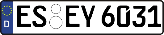 ES-EY6031