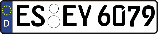 ES-EY6079