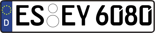ES-EY6080