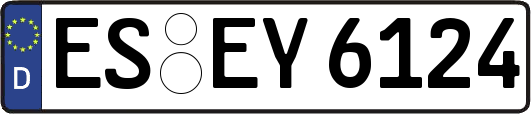 ES-EY6124