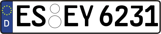 ES-EY6231