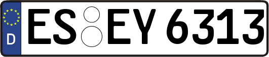 ES-EY6313
