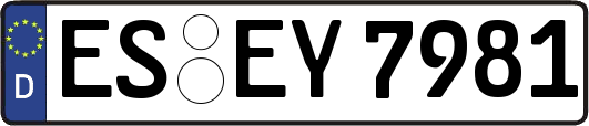 ES-EY7981