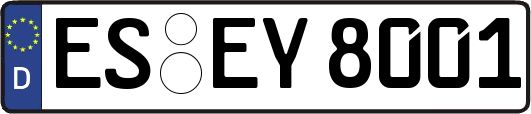 ES-EY8001