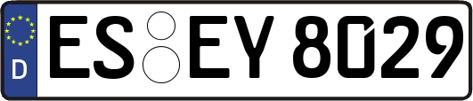 ES-EY8029