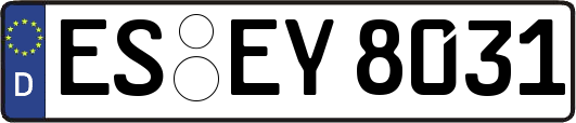 ES-EY8031