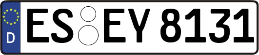 ES-EY8131