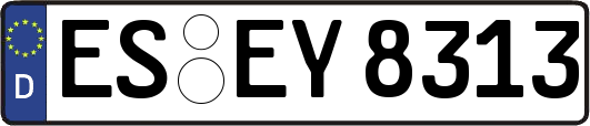 ES-EY8313