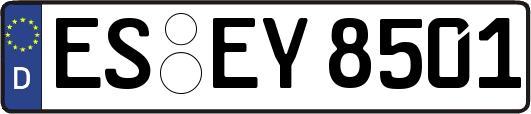 ES-EY8501