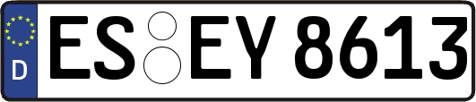 ES-EY8613