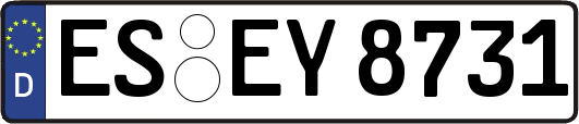 ES-EY8731